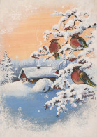 UCCELLO Animale Vintage Cartolina CPSM #PBR515.IT - Oiseaux