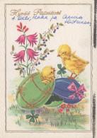 PASQUA POLLO UOVO Vintage Cartolina CPSM #PBP195.IT - Ostern