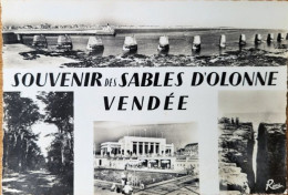 Souvenir Des Sables D'Olonne - Panorama Vu De La Chaume, Forêt, Piscine Casino, Puits D'Enfer - Sables D'Olonne