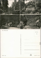 Ansichtskarte Schwarzburg Schweizerhaus-Schwarzatal - Fluss Und Kutsche 1975 - Autres & Non Classés