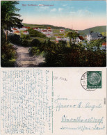 Ansichtskarte  Bad Gottleuba Berggießhübel Stadt - Tannenbusch 1932 - Bad Gottleuba-Berggiesshuebel