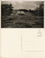 Ansichtskarte Feldberg (Schwarzwald) Berggasthof Herzogenhorn 1937 - Feldberg