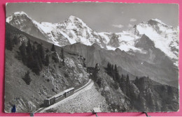Suisse - Interlaken - Schynige Platte - Bergbahn - 1953 - Interlaken