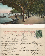 Ansichtskarte Konstanz Partie A.d. Seepromenade Im Stadtgarten 1906/1905 - Konstanz