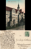 Torgau Schloss Mit Bärengraben, Handkolorierte Künstlerkarte 1910 - Torgau