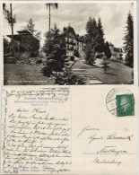 Ansichtskarte Freudenstadt Kurhaus Palmenwald 1929 - Freudenstadt