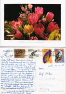 Südafrika Proteas Botanik Blumen Südafrika 1990 South Africa Misch-Frankatur - South Africa