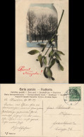 Neujahr/Sylvester Winterlandschaft Davor Mistelzweig 1907 Passepartout - Nouvel An