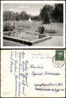 Ansichtskarte Zweibrücken Partie Im Rosengarten 1960 - Zweibruecken