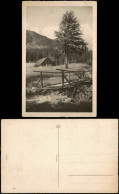 Ansichtskarte  Stimmungsbild Landschaft Natur 1930 - Unclassified