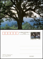 Wulingyuan Scenery 卧龙岭 Sleeping Dragon Hill China Ganzsachen-Postkarte 2000 - Chine