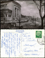 Ansichtskarte Homberg-Duisburg Rheingartenterrassen 1955 - Duisburg