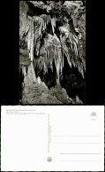 Pottenstein Teufelshöhle, Fränkische Schweiz Barbarossabart 1962 - Pottenstein