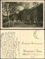 Ansichtskarte Oberammergau Partie Am Schießstand 1923 - Oberammergau