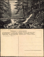 Postcard Bad Flinsberg Świeradów-Zdrój Wasserfall, Brücke 1914 - Schlesien