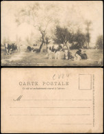 CPA .Normandie Vaches En Mai/Kühe Auf Der Wiese (Watelin) 1902 - Autres & Non Classés
