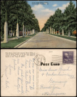 Postcard Fort Myers PALM-LINED FIRST STREET 1949 - Other & Unclassified