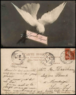 Ansichtskarte  Glückwunsch Ostern Joyeuses Paques Schwalben Gruss 1908 - Ostern