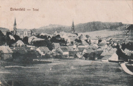 6588 BIRKENFELD, Gesamtansicht, Kl. Eckstauchung, Ca. 1918 - Birkenfeld (Nahe)