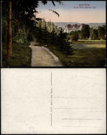 Ansichtskarte Bad Elster Partie Am Palast-Hotel Wettiner Hof 1910 - Bad Elster