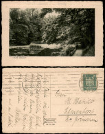 Stimmungsbilder Natur "Stille Wasser" 1924   Gelaufen Nach Elmenhorst - Non Classés