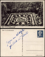 Ansichtskarte Zittau Blumenuhr 1954 - Zittau
