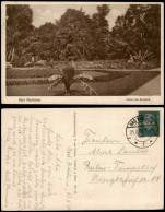 Ansichtskarte Bad Nauheim Kurpark - Palmen 1930 - Bad Nauheim