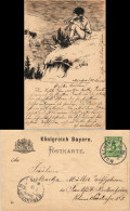 Künstlerkarte Handgefertigt Geiger  Sig. H. Ness Gel. Auf Ganzache Bayern 1898 - Avant 1900