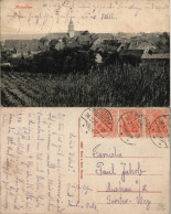 Ansichtskarte Mutzschen Panorama-Ansicht 1921   Gelaufen Mit Stempel MUTZSCHEN - Autres & Non Classés