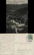 Ansichtskarte Bad Peterstal-Griesbach Blick Auf Die Fabrik 1910 - Bad Peterstal-Griesbach