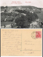 Oberhof (Thüringen) Panorama Blick Vom Herzogl. Schlosshotel 1919 - Oberhof