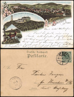 Ansichtskarte Litho AK Steinberg-Goslar Hotel, Stadt 1897 - Goslar