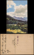 Ansichtskarte  Stimmungsbilder: Natur - Hochgebirge 1926 - Non Classés
