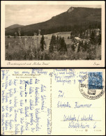 Oberschönau Partie Am Wald-Hotel Kanzlersgrund DDR AK 1957/1956 - Autres & Non Classés