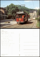 Ansichtskarte Görlitz Zgorzelec Straßenbahn Oldtimer, Belebt 1984 - Goerlitz