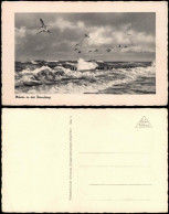Ansichtskarte  Möwen In Der Brandung Meer ::: Nordsee 1940 - Non Classés
