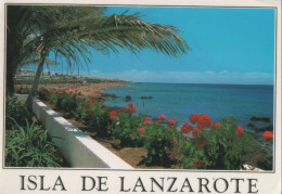 91972 - Spanien - Tias-Puerto Del Carmen - Playa - 1996 - Lanzarote