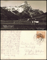 Ansichtskarte Johnsbach-Admont Bäuerin, Hütte - Kühe - Gesäuse 1930 - Other & Unclassified