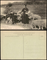 CPA .Frankreich AU PAYS CREUSOIS, Füttern Von Schafen 1910 - Autres & Non Classés