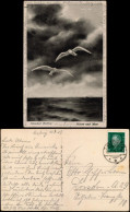 Postcard Misdroy Międzyzdroje Stimmungsbild - Möwen über Dem Meer 1928 - Pommern