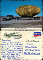 Idaho (Allgemein) We Grow Um Big In “IDAHO” Truck LKW Mit Stein 1978/1976 - Other & Unclassified