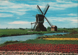 99483 - Niederlande - Holland - Bloemenland, Molenland - 1968 - Other & Unclassified