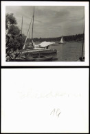 Foto Grunewald-Berlin Schildhorn, Segelboote 1955 Privatfoto Foto - Grunewald