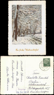Ansichtskarte  Weihnachten - Christmas Waldweg Im Winter Künstlerkarte 1956 - Other & Unclassified