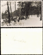 Grunewald-Berlin Grunewaldsee, Graben Im Winter 1950 Privatfoto Foto - Grunewald