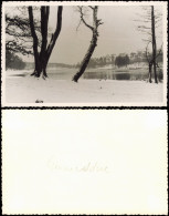 Grunewald-Berlin Grunewaldsee Im Schnee, Winter 1950 Privatfoto Foto - Grunewald
