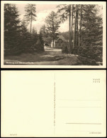 Ansichtskarte Mönchhof (Thüringen) Waldweg Mönchhof 1953 - Autres & Non Classés