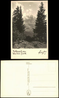 .Tirol Zillertal -Tirol, Blick Durch Den Wald Auf Den Gletscher 1930 - Other & Unclassified