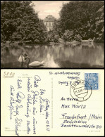 Ansichtskarte Gotha Park Teich Am Museum 1958 - Gotha