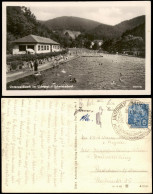 Ansichtskarte Unterweißbach Schwimmbad Freibad 1955 - Autres & Non Classés